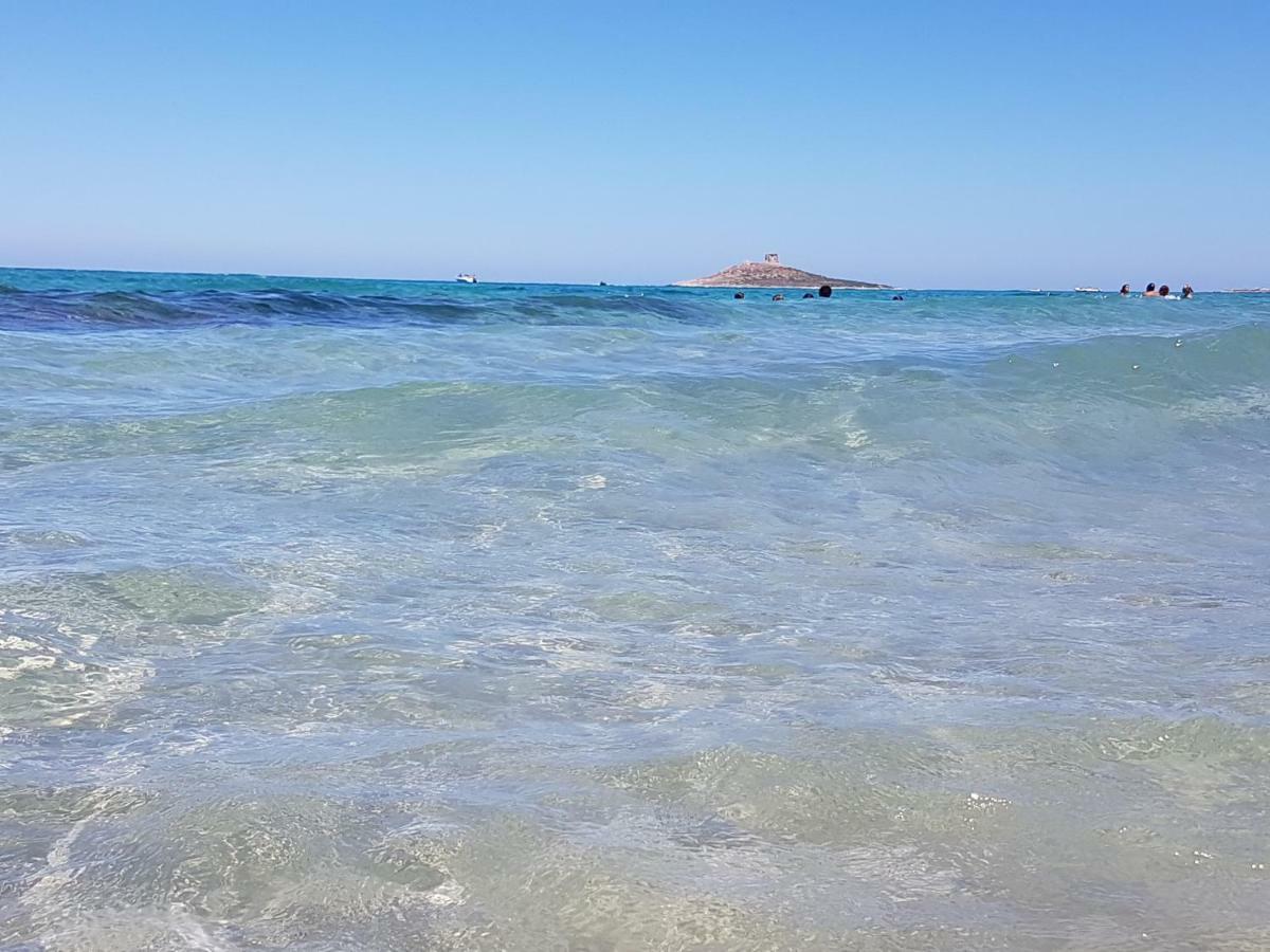 La Rosa Dei Venti Villa Isola delle Femmine Eksteriør billede